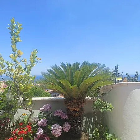 Bluesky * Mascali